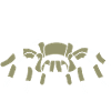 Arachnoholic Spiderfan I love spiders