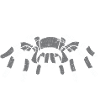 Arachnoholic Spiderfan I love spiders