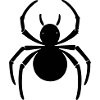 spider