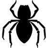 spider