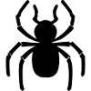 araignée