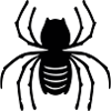 spider