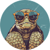 Turtle, Reptile, Turtle, Chelonian