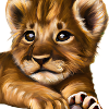 Lion cub
