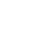 Painter Varnisher