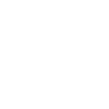 Painter Varnisher