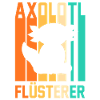 Axolotl