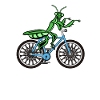 Mante religieuse Mantis Bicyclette