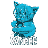 Cancer Cat Prostate Cancer