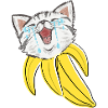 Chat Banane