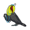 Toucan Doctor Stethoscope