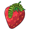 Fraise chenille
