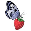 Butterfly Strawberry