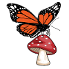 Butterfly mushroom