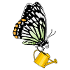 Butterfly watering can