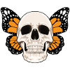 Butterfly Skull