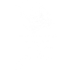 ReWriteYourLifeScript