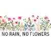 NO RAIN, NO FLOWERS