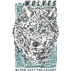 The sketch of snow wolf