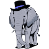Elephant with hat