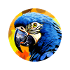 Hyacinth Macaw