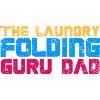 The Laundry Folding Guru Dad