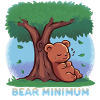 Doing the BEAR Minimum