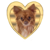Chihuahua - Dog Lover - Dog Heart