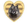 Eurasier - Dog Lovers - Dogs Heart