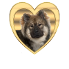Eurasier - Dog Lovers - Dogs Heart