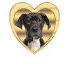 Alano - Amante dei cani - Cuore di cane