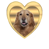 Hovawart - Dog Lovers - Dog Heart