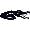 crocodile