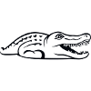 crocodile