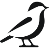Vogel