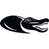 crocodile