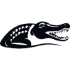 crocodile