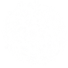 Minimalist flower