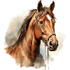 Pferd