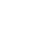 The skull in white