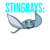 Stachelrochen Mantarochen Ozean Rochen