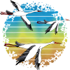 Storks