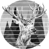 Hirsch