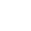 Badminton badminton dog