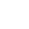 Tennis Dog
