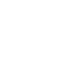 Astronaut, astronaut, cosmonaut, cat