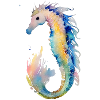 Seepferdchen