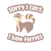 Ferret Iltis Funny