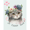 Je t aime tant