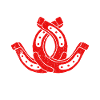 Master Pitcher Horseshoe Pitching